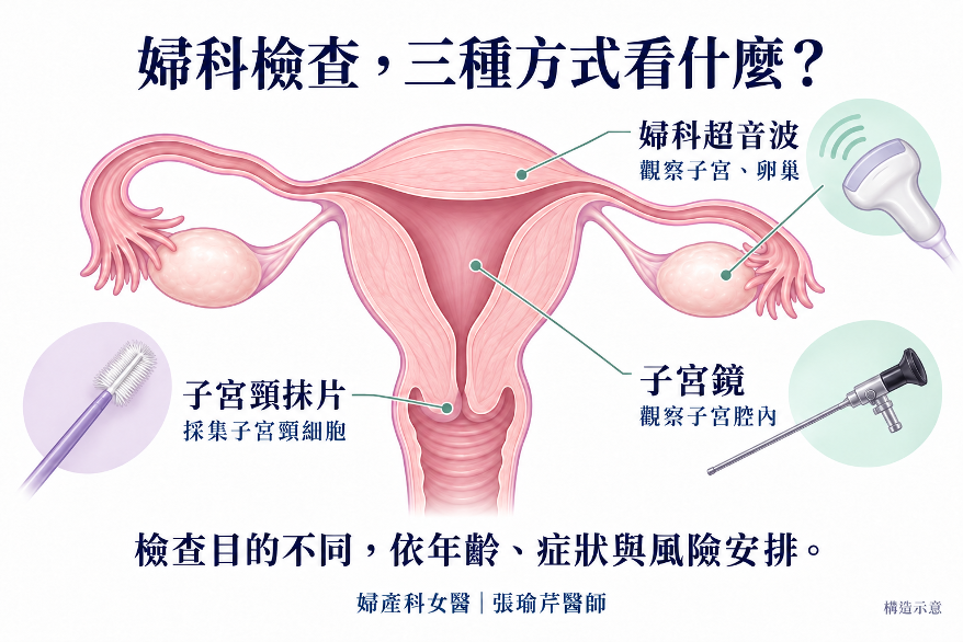 子宮頸抹片採集細胞,超音波觀察子宮與卵巢,子宮鏡觀察子宮腔內
