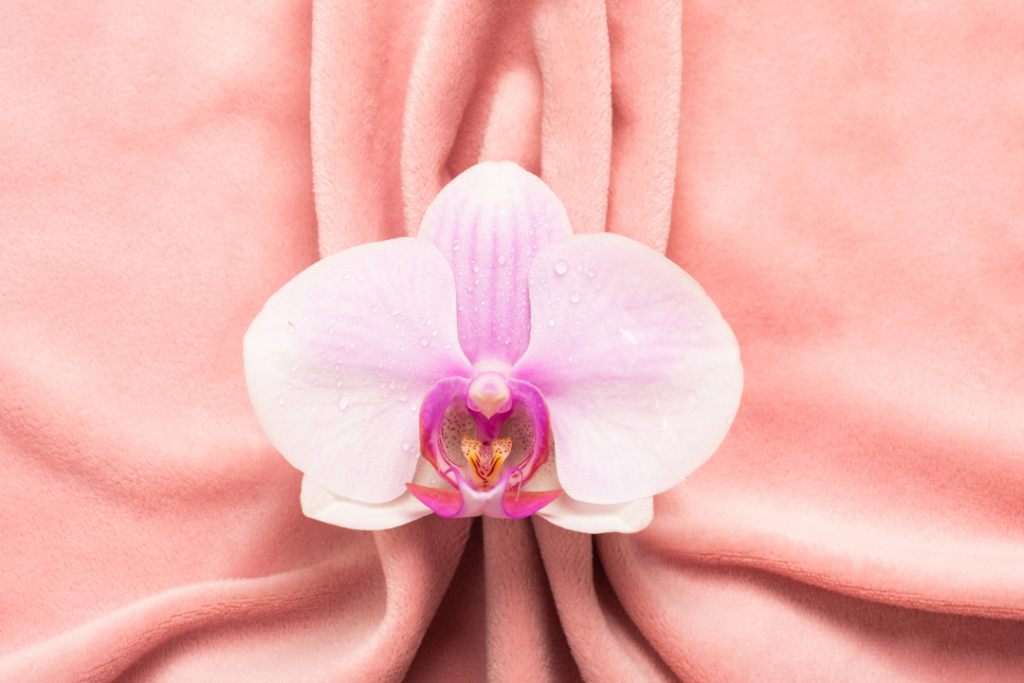 陰唇整形是什麼?了解私密處外觀困擾、原因與改善方式